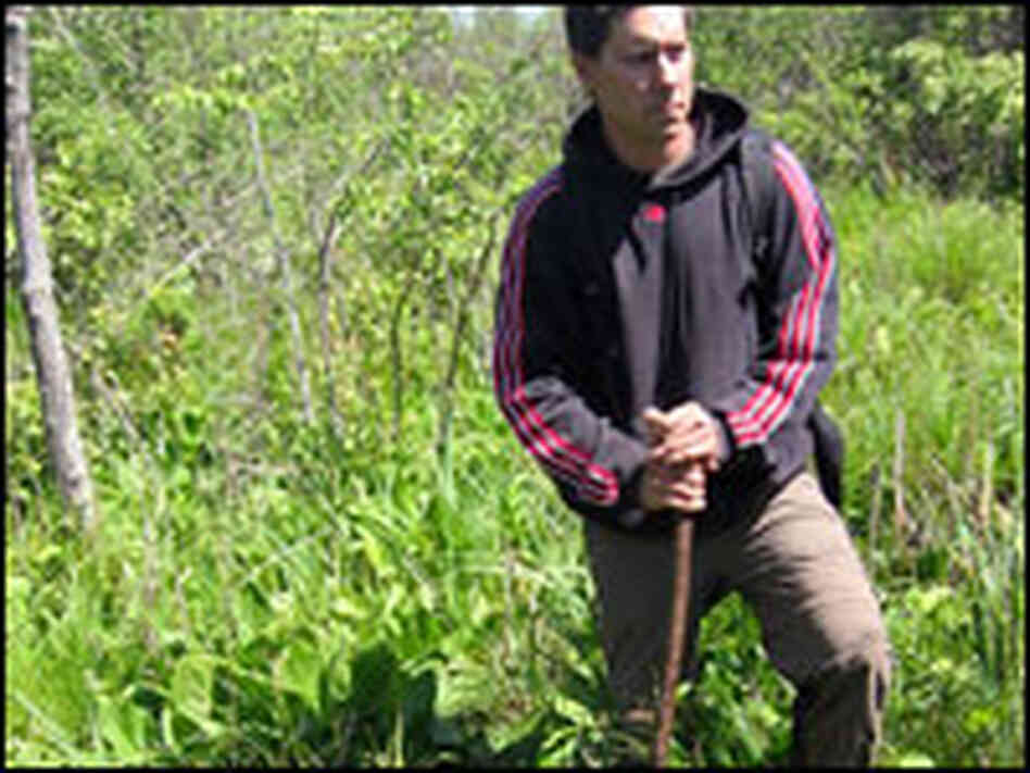 Man in swamp.