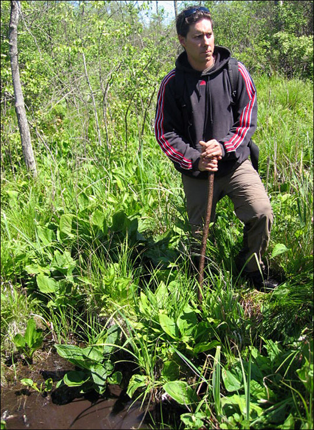 Man in swamp.
