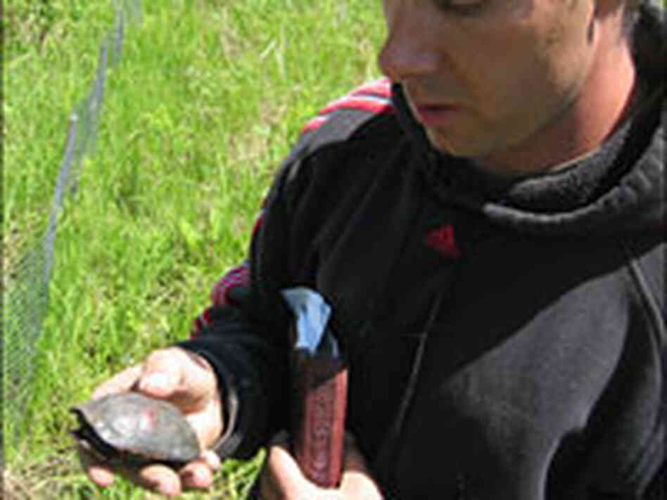 Man holds turtle.