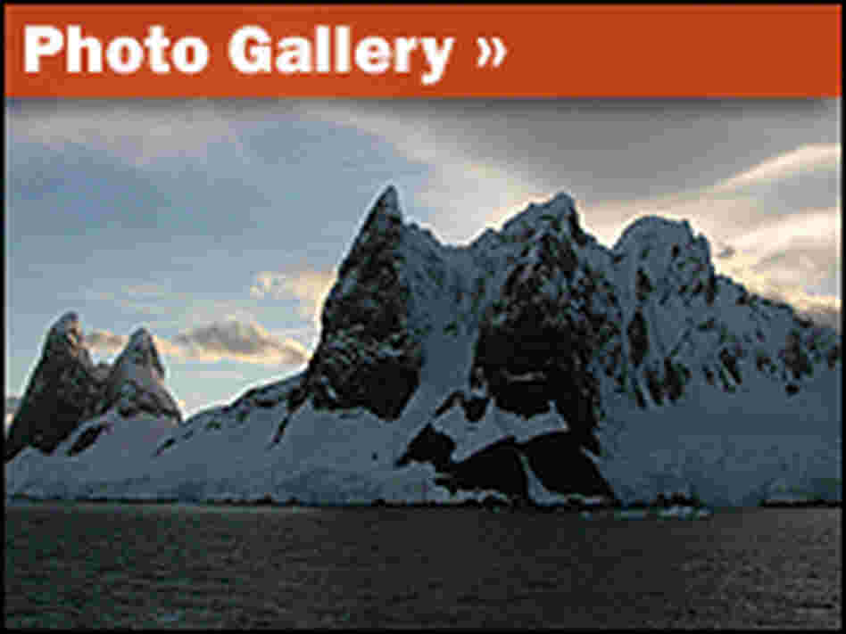 Photo Gallery: Destination Antarctica Photo Gallery: Destination Antarctica