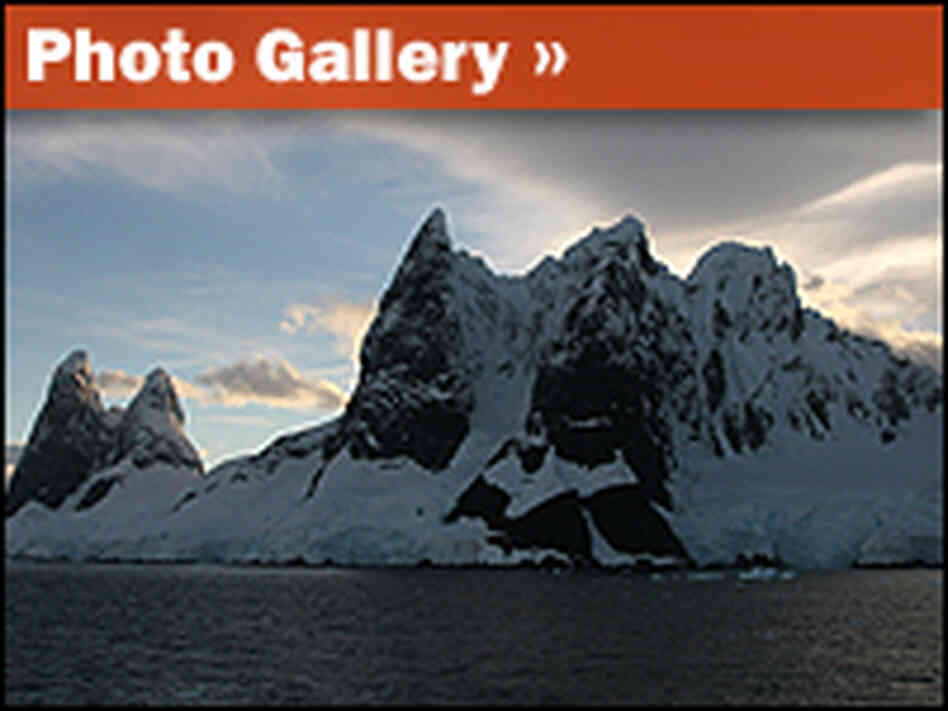 Photo Gallery: Destination Antarctica