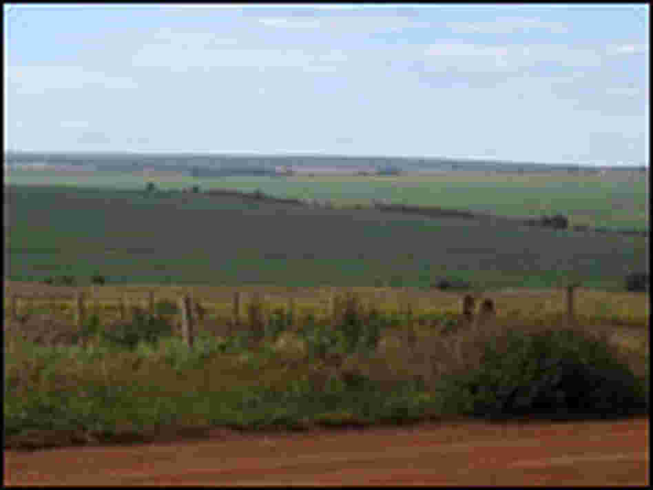 Some 13 million acres are blanketed green with soy in the Brazilian state of Mato Grosso.
