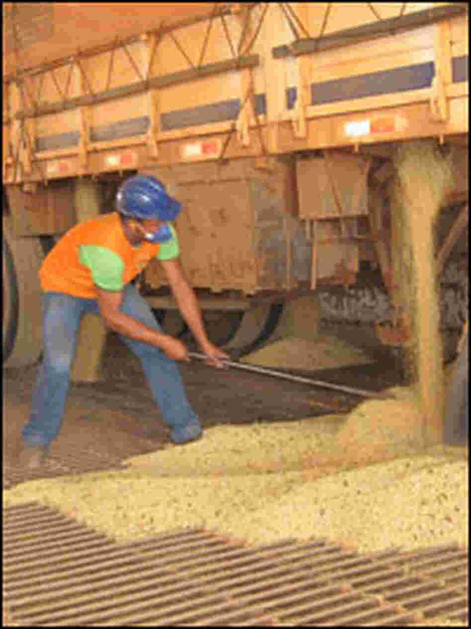 Trucks deliver the soy harvest of Mato Grosso to warehouses.