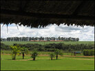 A view from the veranda on the San Antonio farm of soy farmer Erai Maggi. A view from the veranda on the San Antonio farm of soy farmer Erai Maggi.