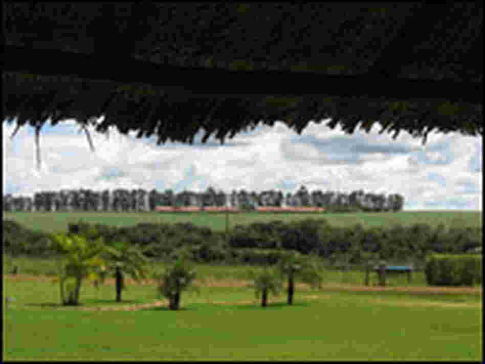 A view from the veranda on the San Antonio farm of soy farmer Erai Maggi.