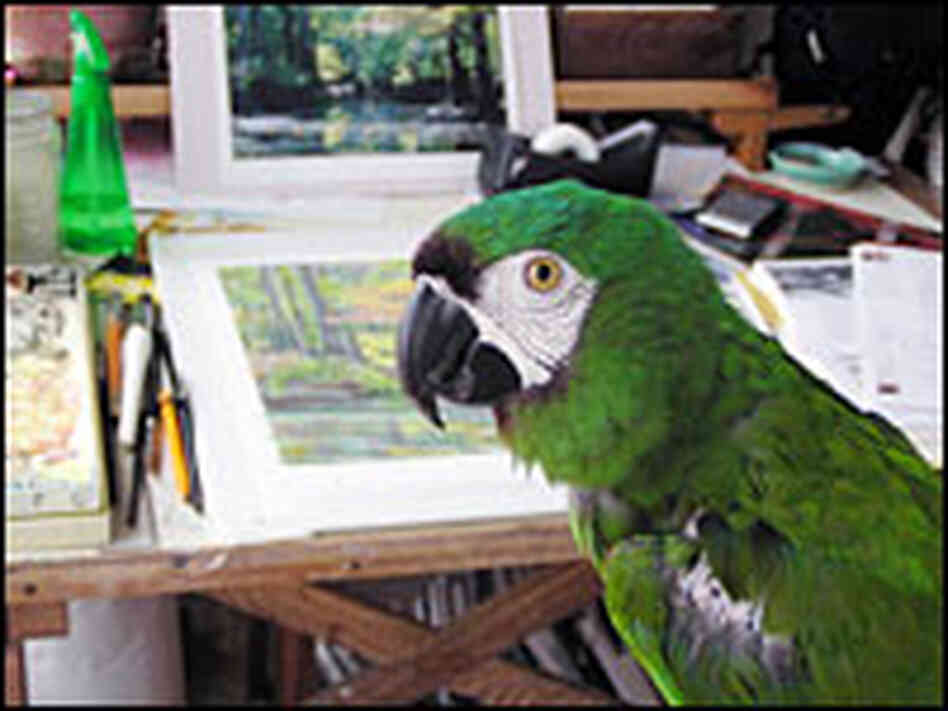 Charlie supervises at the drawing board.