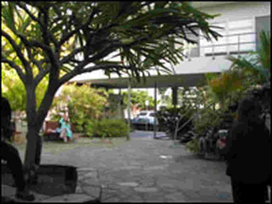 Dutton's courtyard Dutton's courtyard