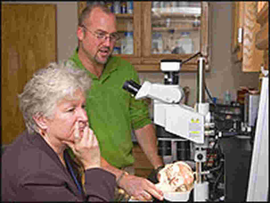 Researchers inspect a crystal skull under the microscope.