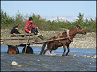 Horse-drawn cart crossing the Ingori River. Horse-drawn cart crossing the Ingori River.