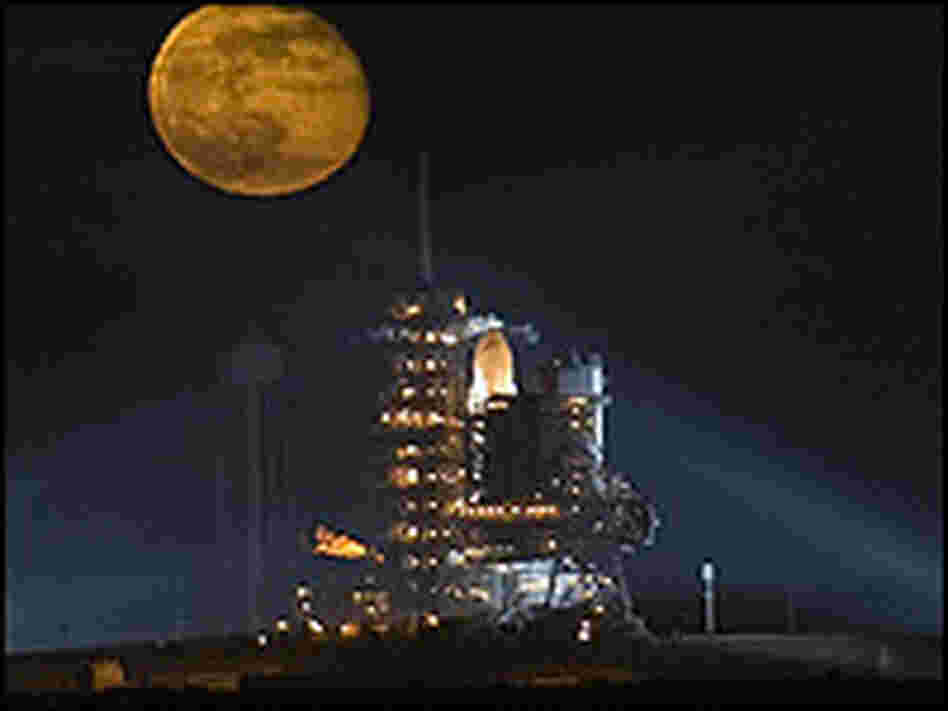 The shuttle Endeavour awaits liftoff at its Nov. 14, 2008 launch from Cape Canaveral.