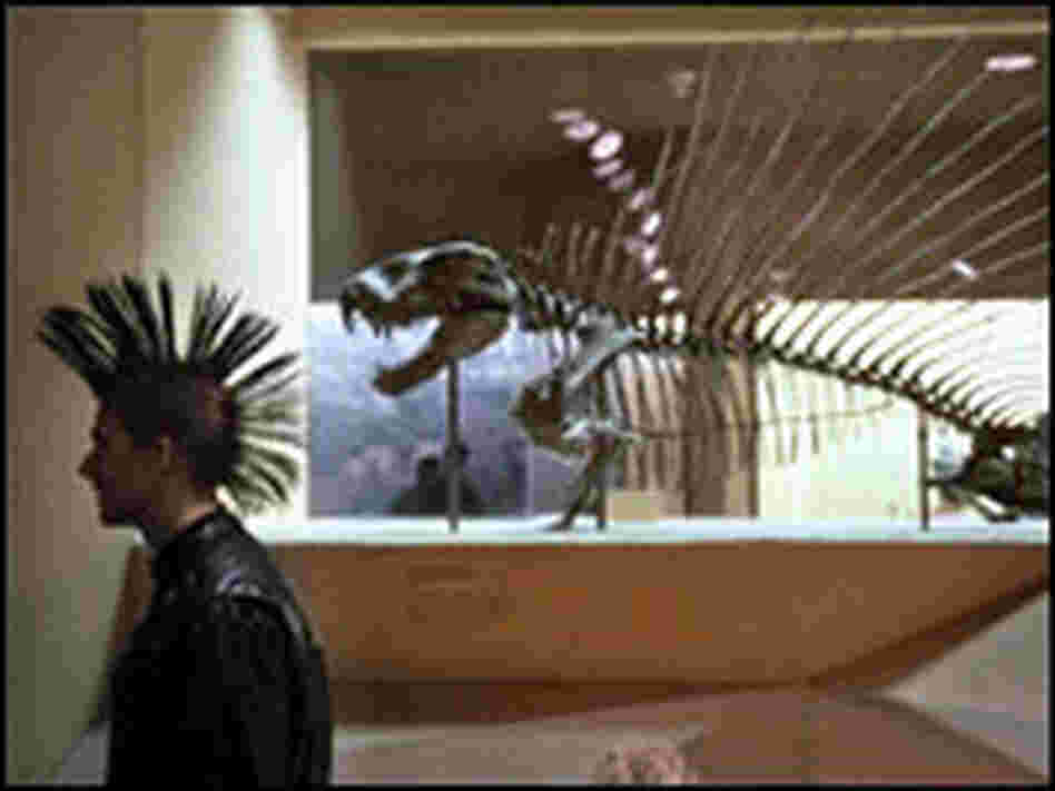 A young man with a mohawk walks in front of a dinosaur skeleton at the Smithsonian.