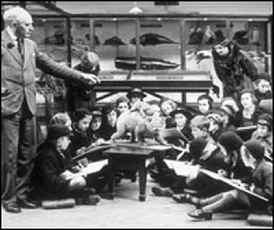 A group of schoolchildren sketch a stuffed koala bear and baby in 1938.