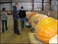 Topsfield Fair pumpkin contest