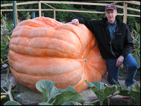 Pumpkin