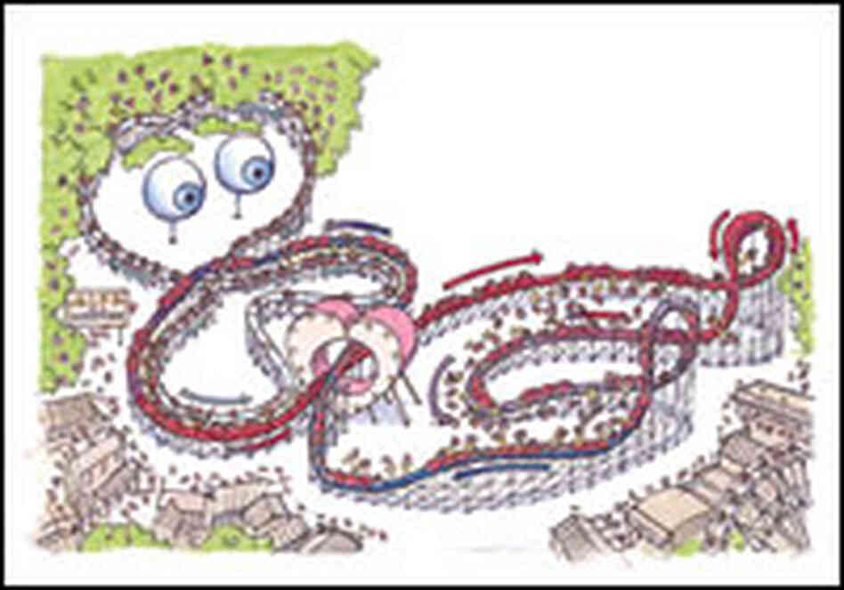 An illustration of the link between the respiratory system and the circulatory system.