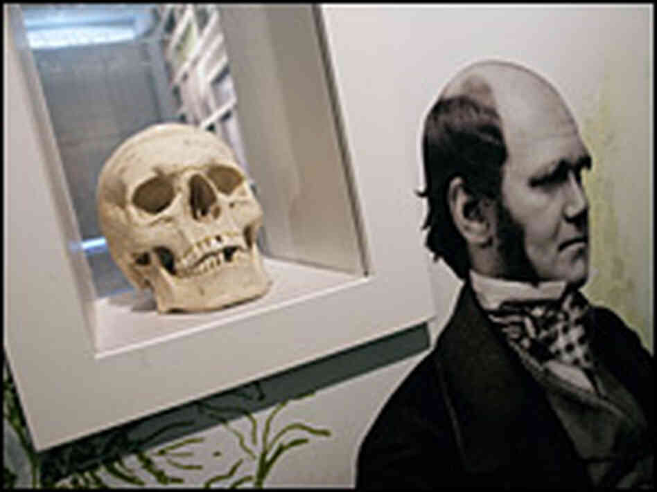 For 40 years, British naturalist Charles Darwin lived at Downe House off the Canterbury Road.