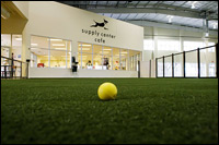 At the Unleashed Indoor Dog Parks in Dallas, dogs can play on 50,000 square feet of articial grass.