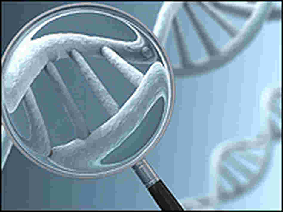 A magnifying lens inspects DNA. A magnifying lens inspects DNA.