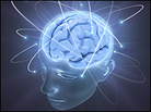 An image of a human brain glowing in blue. An image of a human brain glowing in blue.