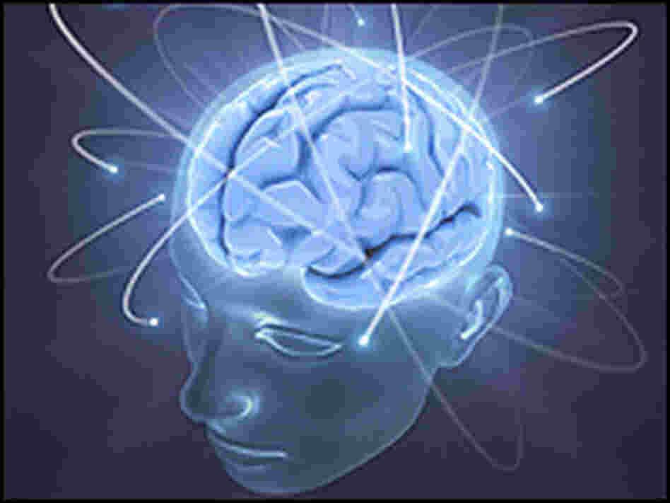 An image of a human brain glowing in blue. An image of a human brain glowing in blue.