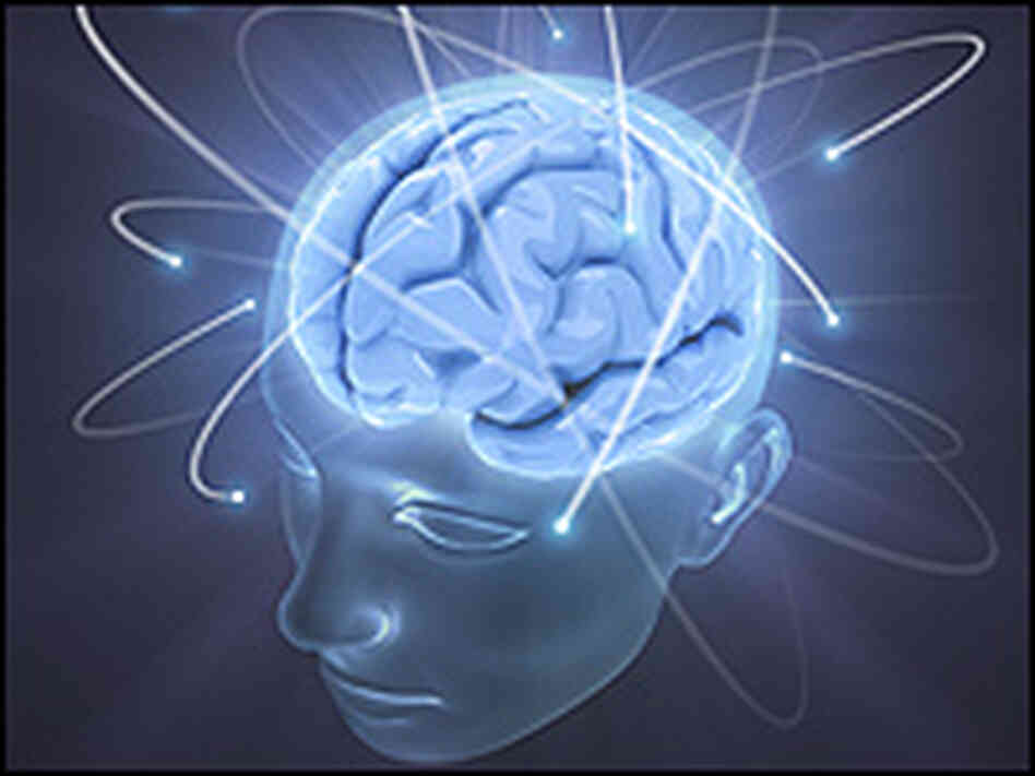 An image of a human brain glowing in blue. An image of a human brain glowing in blue.
