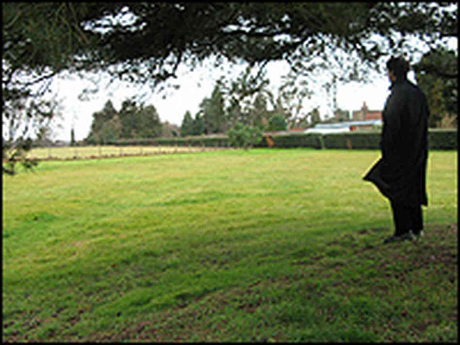 Alun Anderson looks over a field at Darwin's country estate.