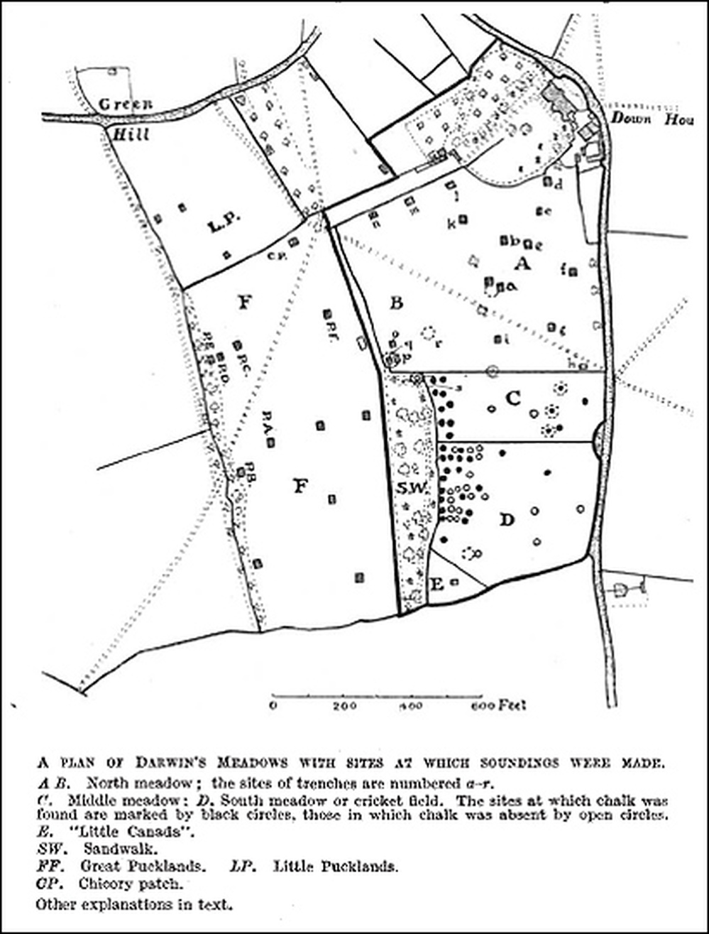 A 1942 map shows where Darwin dug trenches and laid stones.