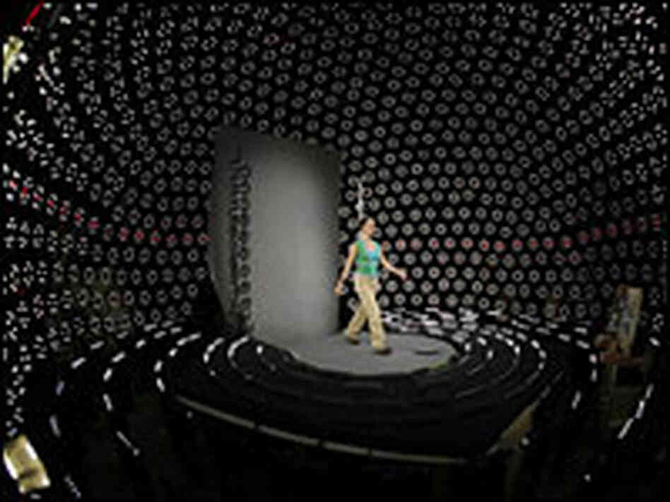 Light Stage Six