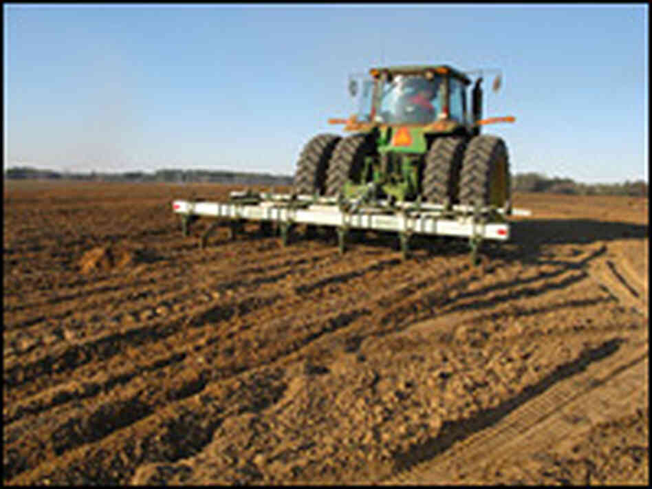 Peanut tractor rakes for peanuts.