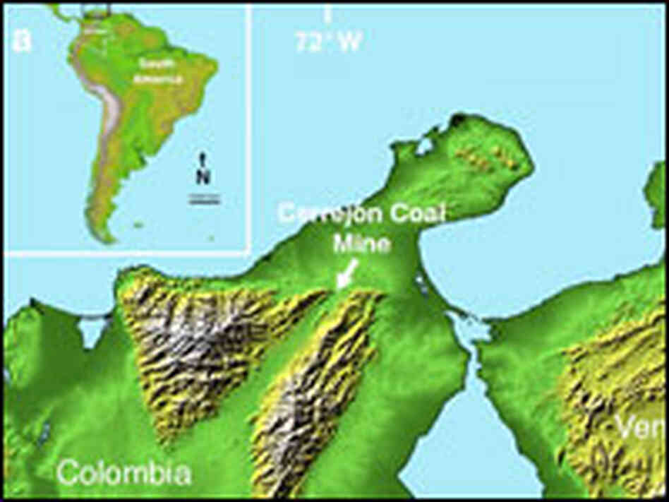 Map of where Titanoboa fossils were found.