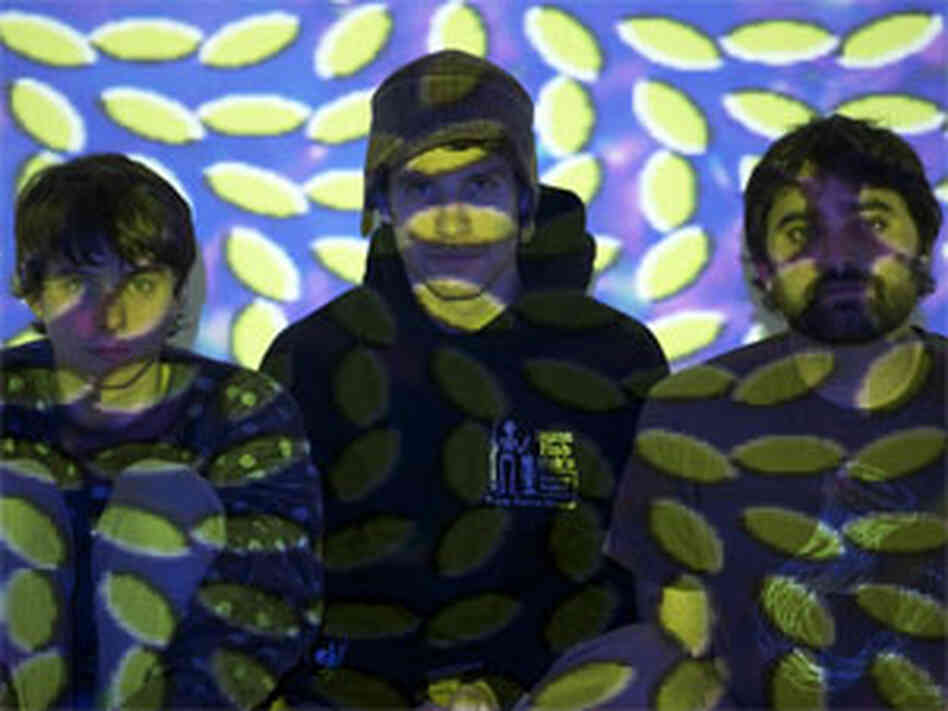 Animal Collective (300) Animal Collective (300)