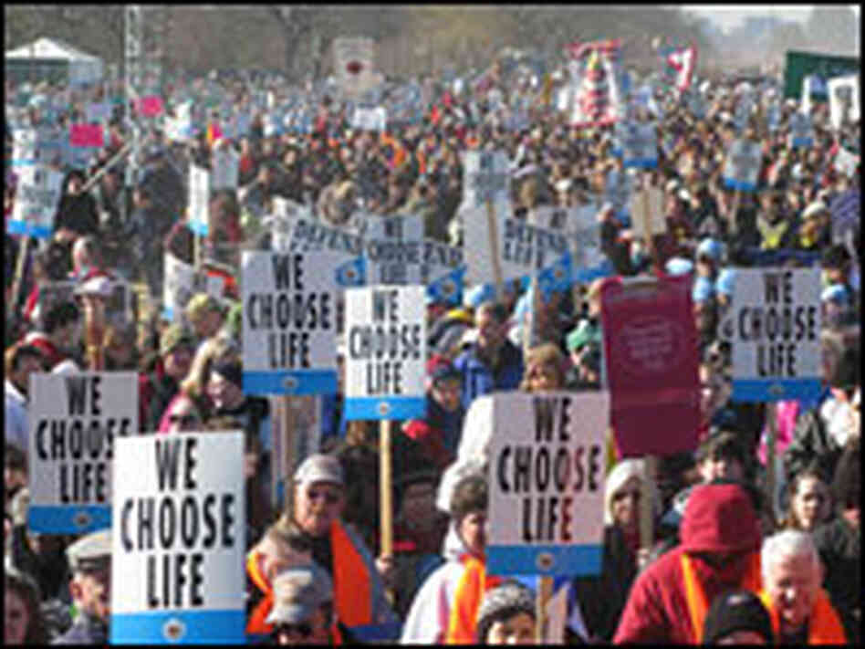 Anti-abortion demonstrators gather at the National Mall in Washington on Jan. 22, 2009.