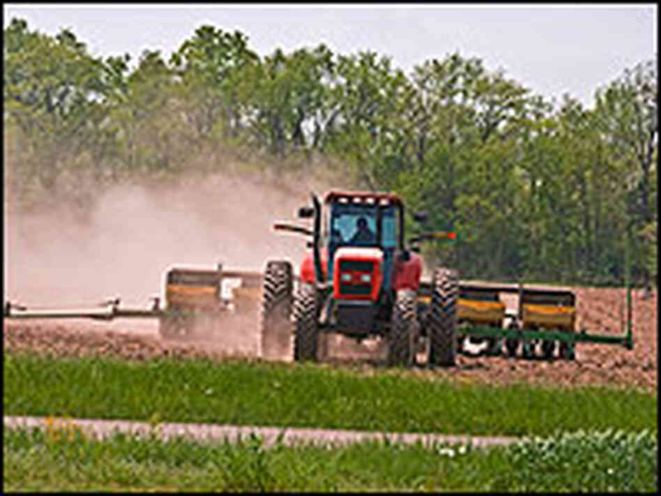 Tractor in a cornfield