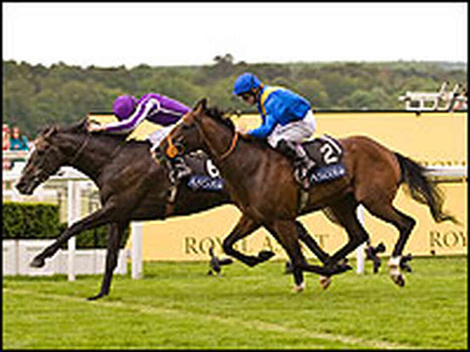 Jockey Riding Race Horse