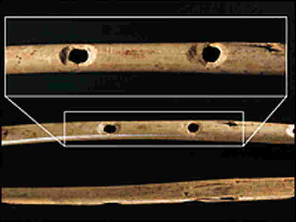 Bone flute from Hohle Fels with enlarged image of finger holes