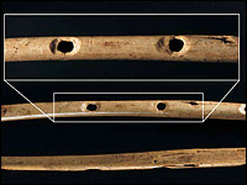 Bone flute from Hohle Fels with enlarged image of finger holes