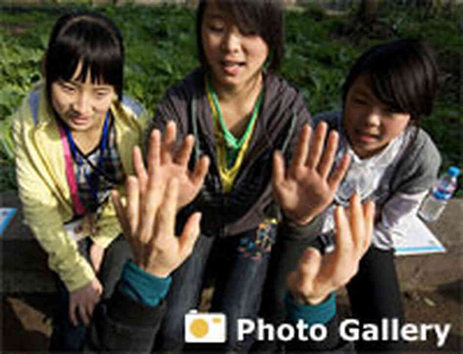 Afterquake Photo Gallery
