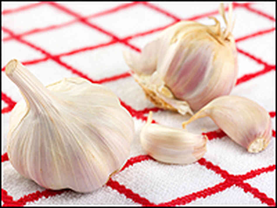 A garlic bulb and cloves of garlic on a red-checked tablecloth. A garlic bulb and cloves of garlic on a red-checked tablecloth.