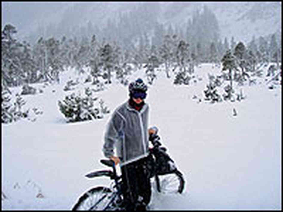 Jill Homer and So Much Snow