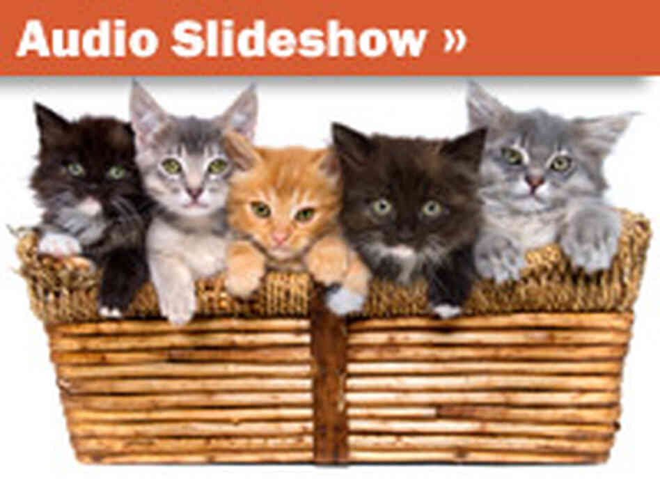 Slideshow