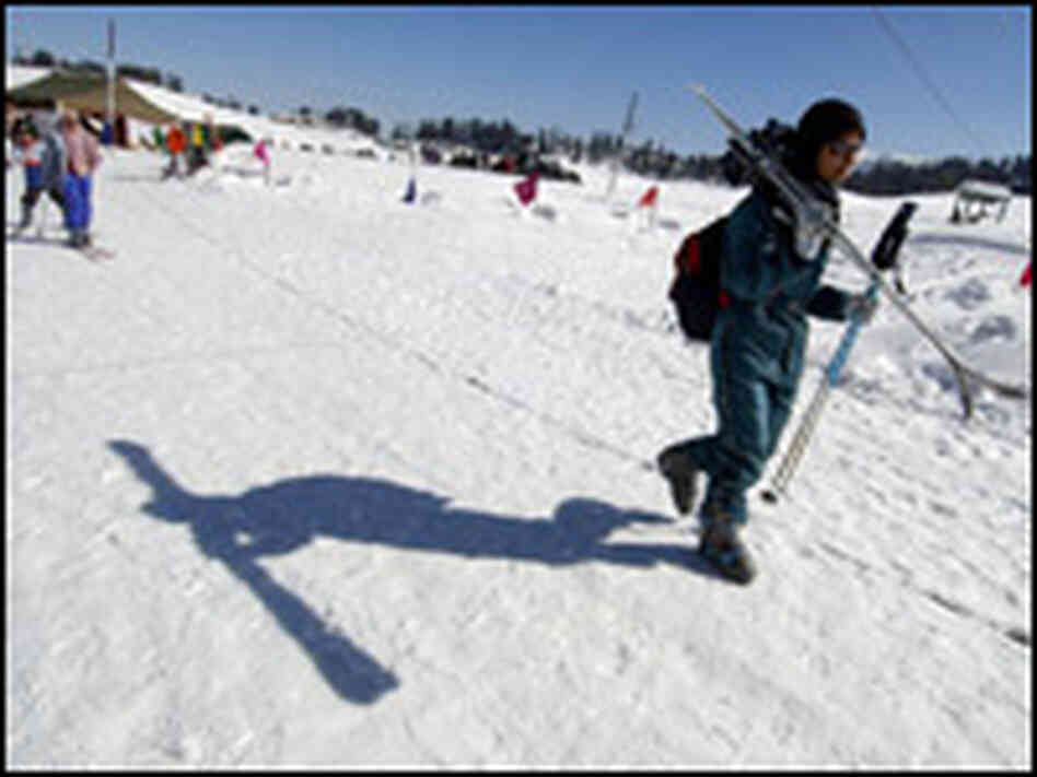 woman skier woman skier