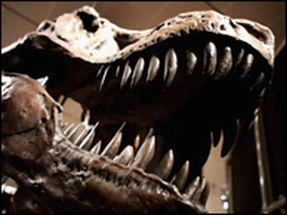 TRex TRex