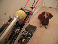 Fetch 2.0