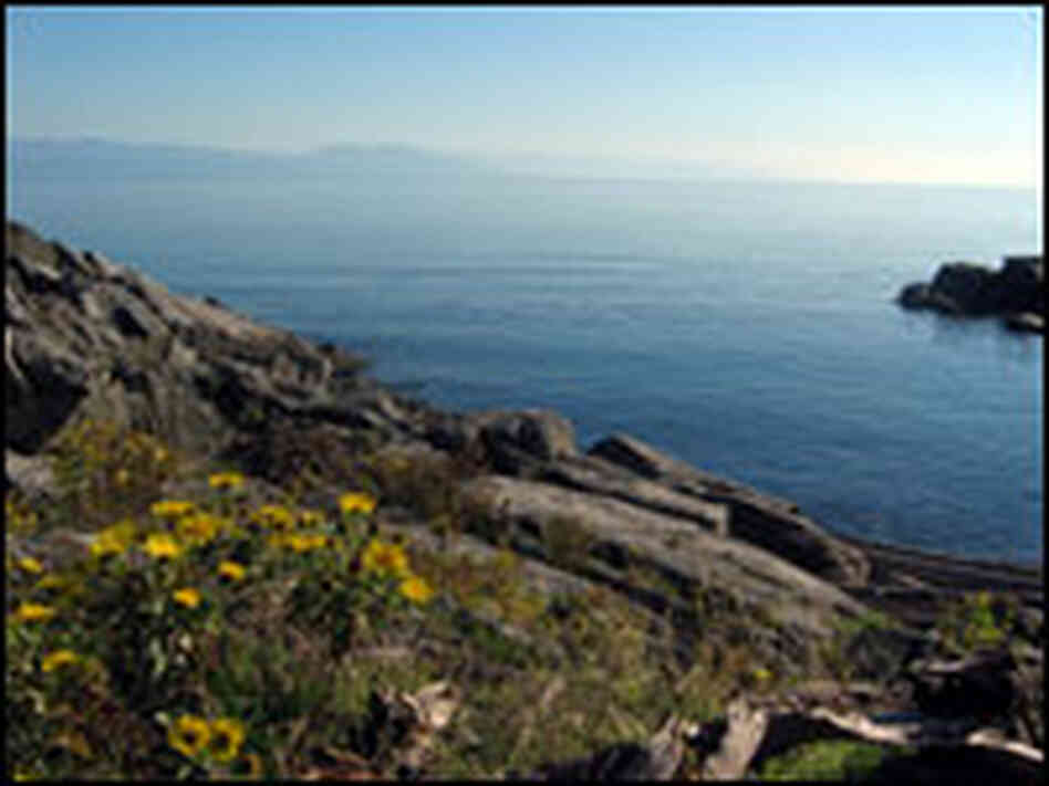 Strait of Georgia Strait of Georgia