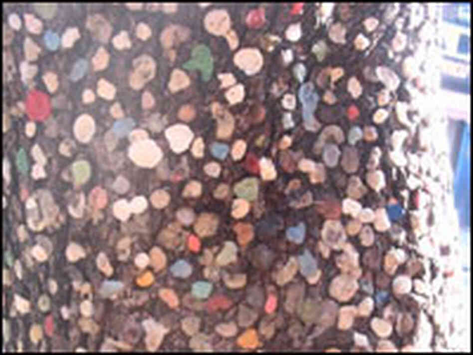 Gum Tree Gum Tree