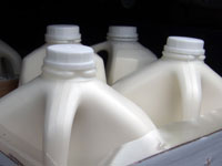 Raw Milk