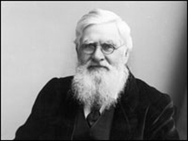 Welsh naturalist Alfred Russel Wallace (1823 - 1913). (Getty Images)