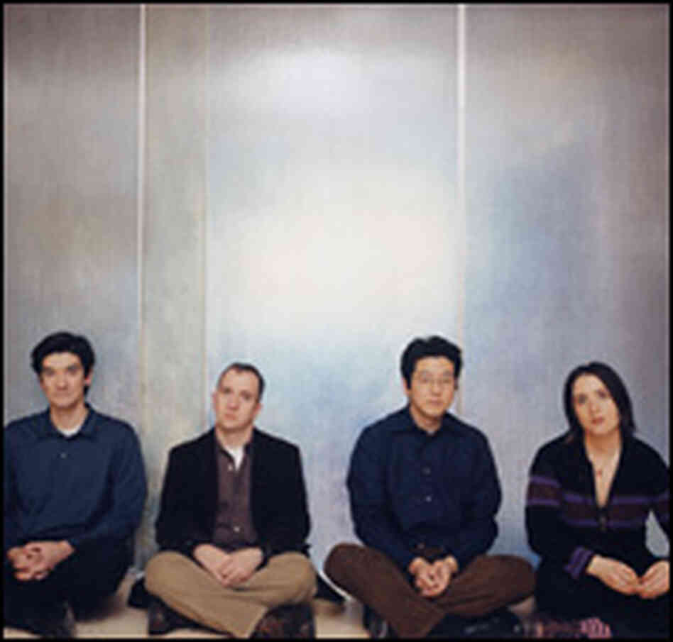 The Magnetic Fields