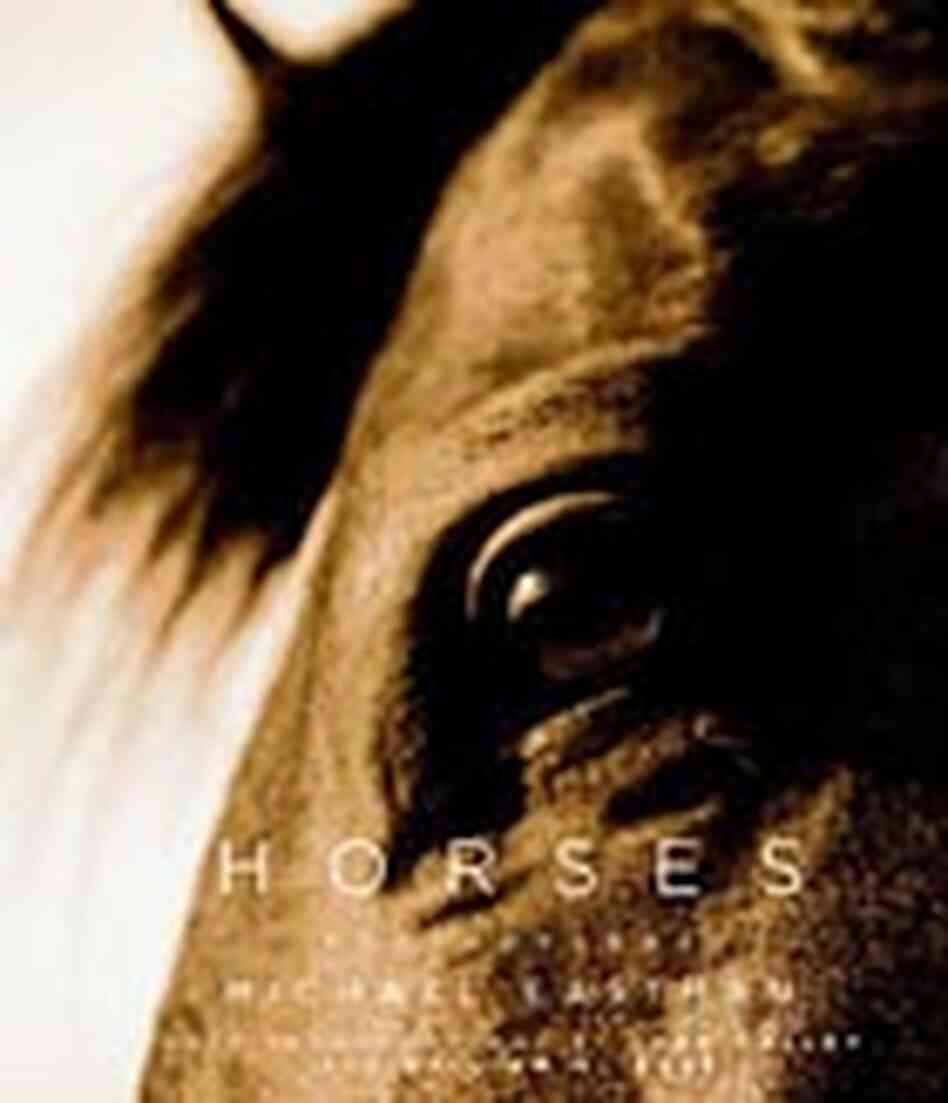 Cover for 'Horses : Photographs' Cover for 'Horses : Photographs'