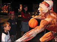 Child stares at exhibit of human cadaver posed as a basketball player at the California Science Muse